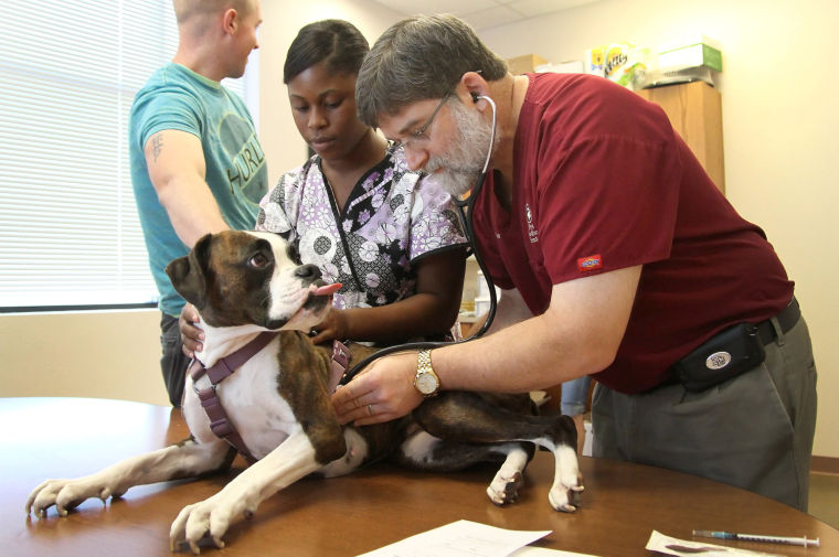 Texas Vets for Pets